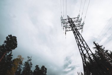 Bulutlu gökyüzü altında ağaçlar arasında yüksek gerilim güç hatları. Kopyalama alanı ile ormanda elektrik dağıtım kulesi. Bulutlu havalarda telleri ile kutuplarda aşağıdan minimalist görünüm.