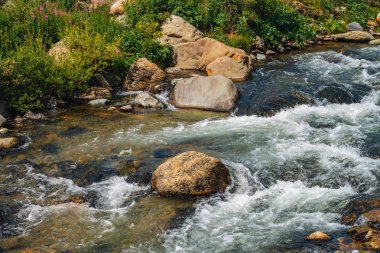 Dağ Deresi'ne yakın çekimde büyük kayalar. Kopya alanı ile nehir Rapids. Güzel bitki örtüsü boyunca hızlı su akışı. Isldeki taşların yanında hızlı akış. Temiz dalgaların arka planı. Yaylaların zengin bitki örtüsü.