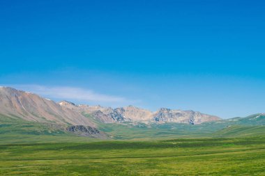 Berrak mavi gökyüzü altında yeşil vadi üzerinde kar ile dev dağlar. Güneş ışığında yaylaların zengin bitki örtüsü ile Çayır. Görkemli doğanın inanılmaz güneşli dağ manzara.