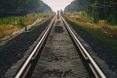 Mistik tren orman boyunca demiryolu ile seyahat eder. Demiryolu trafik ışığı ve lokomotif uzakta demiryolu üzerinde. Demiryolu nda Serap. Atmosferik manzara.