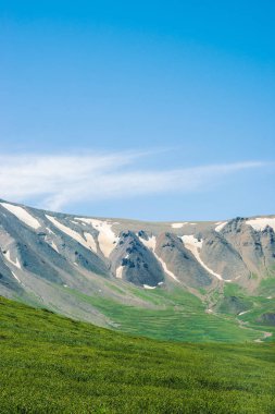 Güneşli bir günde yeşil vadinin üzerinde kar ile dev dağlar. Güneş ışığında yaylaların zengin bitki örtüsü ile Çayır. Görkemli doğanın muhteşem dağ manzarası.