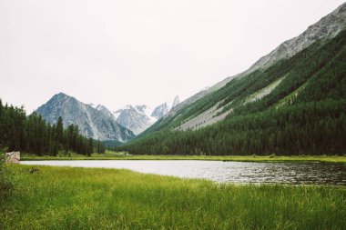 Küçük dağ gölünün arkasındaki harika karlı dağlar ve zengin bitki örtüsü arasında parlak su. Nehir buzuldan akar. Tepede beyaz kar var. Dağlık doğanın şaşırtıcı atmosferik manzarası.
