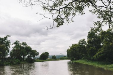 Koyu yeşil soluk tonlarda bankalar üzerinde nehir ve ağaçlar ile atmosferik sisli köy manzara. Ufukta dağda opak sis. Ürkütücü kırsal da yerüstünde sis. Dalların altından görüntüle.