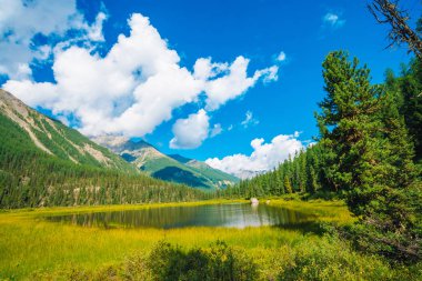 Beyaz bulutlar ile mavi gökyüzü altında dev dağlar önce güzel dağ gölü. Yamaç üzerinde orman kenarı. Güneşli bir günde inanılmaz su. Harika bir dağ manzarası. Renkli manzara. Yayla manzarası.