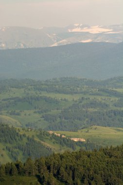 Arka planda büyük tepeler ve kar dağları ile güzel dağ yeşilmanzara. Yeşilliküstünde mavi gökyüzü. Huzur ve huzur.