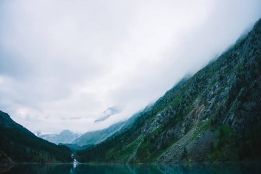 Sabahın erken saatlerinde dağ gölü nün yanındaki hayalet orman. Dağ deresi göle akar. Pürüzsüz su yüzeyinde dalgalanma. Alçak bulutlar. Karanlık sakin atmosferik sisli ormanlık manzara. Sakin atmosfer.