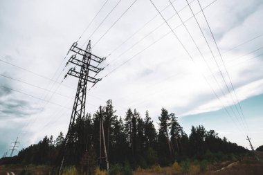 Bulutlu gökyüzü altında ağaçlar arasında yüksek gerilim güç hatları. Kopyalama alanı ile ormanda elektrik dağıtım kulesi. Bulutlu havalarda telleri ile kutuplarda aşağıdan minimalist görünüm.