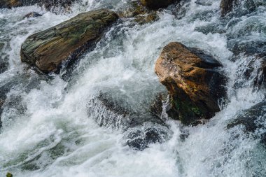 Dağ Deresi'ne yakın çekimde büyük kayalar. Kopya alanı ile hızlı nehir Rapids. Köpüklü su akıntısı. Isldeki taşların yanında hızlı akış. Temiz su dalgalarının arka planı. Dere parlak dere doğal doku