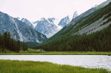 Küçük dağ gölünün arkasındaki harika karlı dağlar ve zengin bitki örtüsü arasında parlak su. Nehir buzuldan akar. Tepede beyaz kar var. Dağlık doğanın şaşırtıcı atmosferik manzarası.