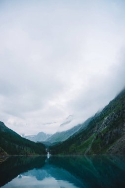 Sabahın erken saatlerinde dağ gölü nün yanındaki hayalet orman. Dağ deresi göle akar. Pürüzsüz su yüzeyinde dalgalanma. Alçak bulutlar. Karanlık sakin atmosferik sisli ormanlık manzara. Sakin atmosfer.