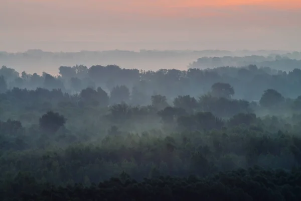 Mystieke Uitzicht Vanaf Top Bos Onder Haze Vroege Ochtend Nevel — Stockfoto