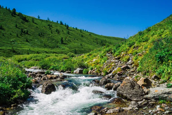 Fast Water Stream Mountain Creek Boulders Bright Sunlight Valley Vivid — Stock Photo, Image