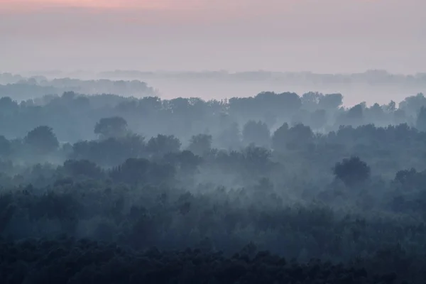 Mystischer Blick Auf Den Wald Dunst Frühen Morgen Unheimlicher Nebel — Stockfoto