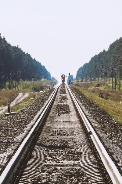 Mystiske Tog Reiser Med Jernbane Langs Skogen Jernbanetrafikk Lett Lokomotiv – stockfoto