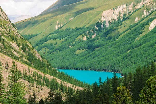 Чудесное Горное Озеро Долине Высокогорья Гладкая Чистая Поверхность Лазурной Воды — стоковое фото