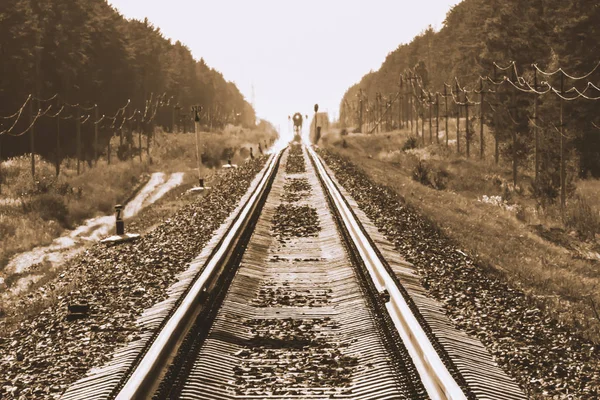 Mistik Tren Sepya Tonları Orman Boyunca Demiryolu Ile Seyahat Eder — Stok fotoğraf