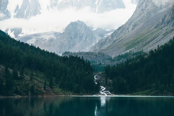 Sabahın erken saatlerinde dağ gölü nün yanındaki hayalet orman. Buzuldan gelen dağ deresi göle akar. Pürüzsüz su yüzeyinde dalgalanma. Alçak bulutlar. Koyu atmosferik sisli ahşap manzara. Sakin atmosfer.