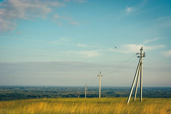 Linie Zasilające Przechodzą Przez Zielone Żółte Pola Elektryczne Słupki Polu — Zdjęcie stockowe