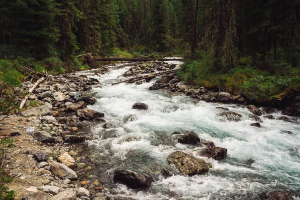 Maravilloso Arroyo Agua Rápida Desde Glaciar Arroyo Salvaje Montaña Con — Foto de Stock