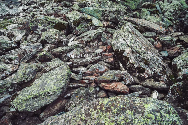 Flujo Rocas Multicolores Piedra Suelta Cerca Piedras Dispersas Aleatoriamente Naturaleza —  Fotos de Stock