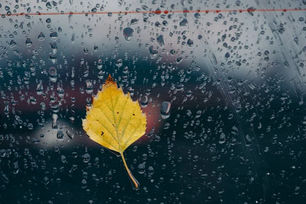 Gult Löv Vått Glas Droppar Regn Glas — Stockfoto
