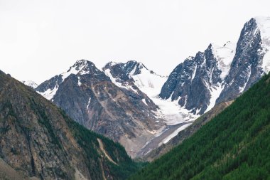 Bulutlu gökyüzü altında orman ile tepenin arkasında karlı dağ üst. Bulutlu havalarda kayalık sırt. Buzulda beyaz kar. Görkemli doğanın atmosferik manzarası.