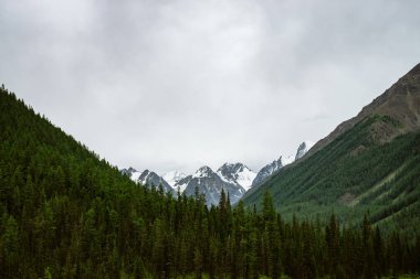 Bulutlu gökyüzü altında büyük dağların arasında karlı dağ tepesinde. Ormanın üzerindeki bulutlu havalarda kayalık sırt. Dev buzullar. Görkemli doğanın atmosferik minimalist manzara.