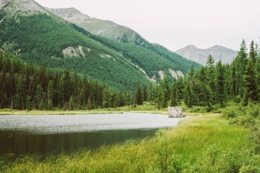 Harika dev dağlara karşı zengin bitki örtüsü arasında parlak yüzeyi ile küçük dağ gölünde büyük taş. Suda kaya. Yaylaların görkemli doğasının muhteşem atmosferik manzarası.
