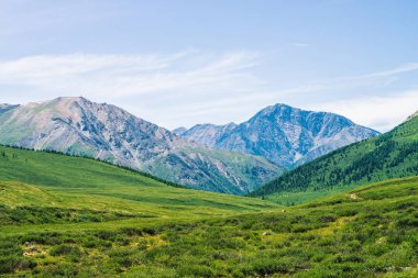 Güneşli bir günde çayır ve orman ile yeşil vadi üzerinde kar ile dev dağlar. Güneş ışığında yaylaların zengin bitki örtüsü. Görkemli doğanın muhteşem dağ manzarası.