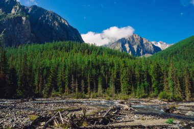 Orman kenarı boyunca akarsu. Kozalaklı ormanı olan tepelerin arkasında kar olan kayalık sırt. Mavi gökyüzünün altındaki büyük karlı sıradağların tepesindeki bulutlar. Dev kaya. Yayla doğasının atmosferik manzarası.