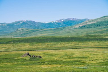 Berrak mavi gökyüzü altında kar ile dev dağlara karşı yeşil vadide Kaya. Güneş ışığında yaylaların zengin bitki örtüsü ile Çayır. Görkemli doğanın inanılmaz güneşli dağ manzara.