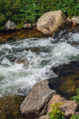 Dağ Deresi'ne yakın çekimde büyük kayalar. Kopya alanı ile nehir Rapids. Güzel bitki örtüsü boyunca hızlı su akışı. Isldeki taşların yanında hızlı akış. Temiz dalgaların arka planı. Yaylaların zengin bitki örtüsü.