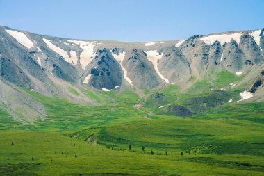 Güneşli bir günde yeşil vadinin üzerinde kar ile dev dağlar. Zengin bitki örtüsü ve güneş ışığında dağlık ağaçlar ile Çayır. Görkemli doğanın muhteşem dağ manzarası.