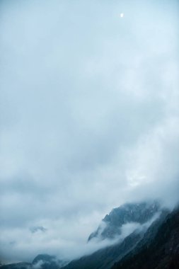 Kalın sis içinde ağaçlar ile hayalet dev kayalar. Sis içinde kar ile gizemli büyük dağ. Sabah ın erken saatlerinde dağlarda. Aşılmaz sis. Karanlık atmosferik bulutlu manzara. Sakin mistik atmosfer.