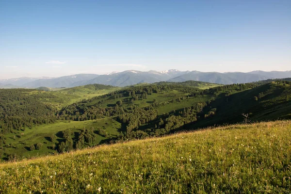 Berglandschaft Der Ferne Sieht Man Den Schnee Auf Dem Gipfel — Stockfoto