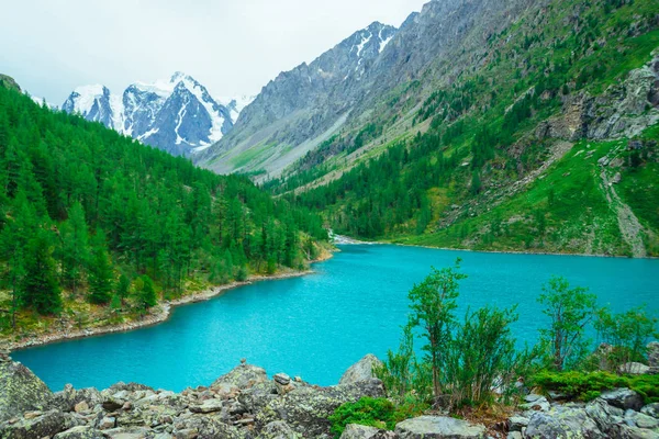 Cespuglio Verde Collina Sassosa Sullo Sfondo Ghiacciaio Lago Montagna Foresta — Foto Stock