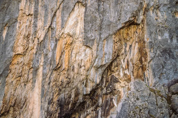 美丽的岩石灰色纹理背景与苔藓和苔藓 地面山崖特写 — 图库照片