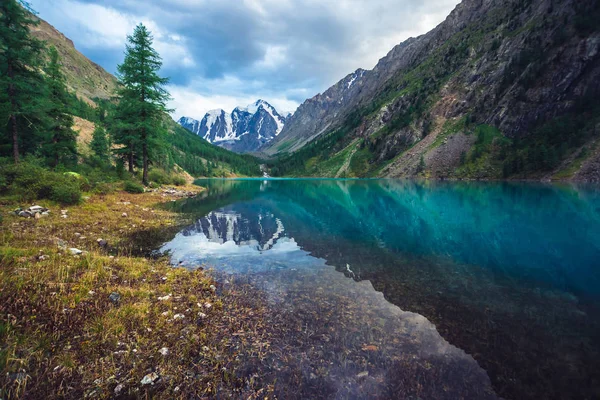 Прекрасное Горное Озеро Видом Гигантский Ледник Удивительные Огромные Горы Хвойным — стоковое фото