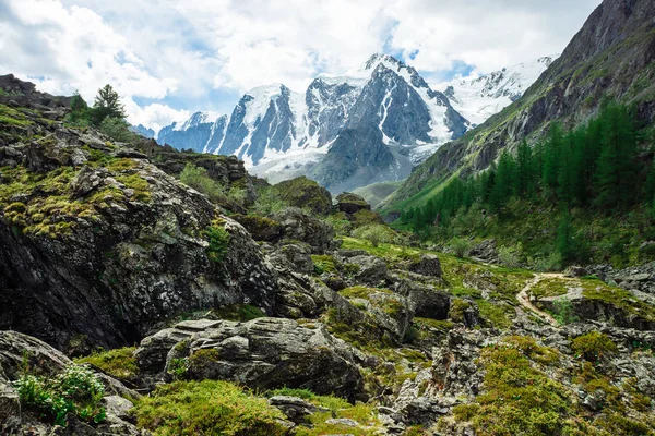 Increíble Enorme Glaciar Detrás Del Bosque Coníferas Cordillera Nevada Cielo — Foto de Stock