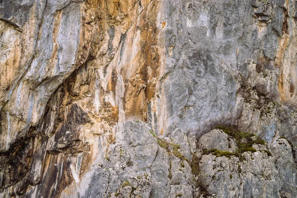 美丽的岩石灰色纹理背景与苔藓和苔藓 地面山崖特写 — 图库照片