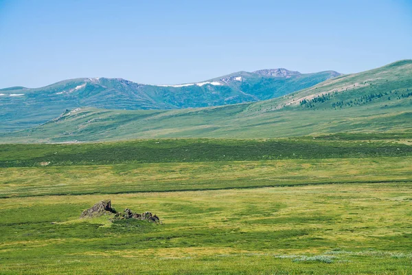 Berrak mavi gökyüzü altında kar ile dev dağlara karşı yeşil vadide Kaya. Güneş ışığında yaylaların zengin bitki örtüsü ile Çayır. Görkemli doğanın inanılmaz güneşli dağ manzara.