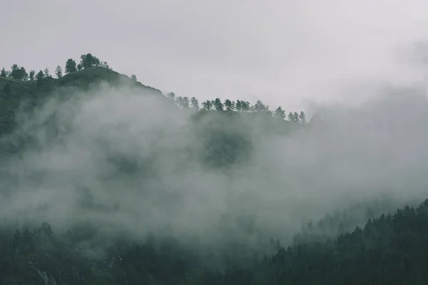 山上浓雾 雾中有复制空间 复古的雾景雄伟的自然在褪色的绿色色调在时髦的风格 山间不透明的阴霾 — 图库照片