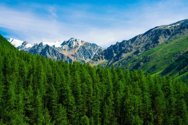 Mavi Berrak Gökyüzü Altında Ormanlık Tepearkasında Karlı Dağ Tepesinde Kozalaklı — Stok fotoğraf