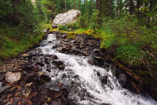 Maravilhoso Fluxo Água Rápida Riacho Selvagem Montanha Paisagem Floresta Verde — Fotografia de Stock