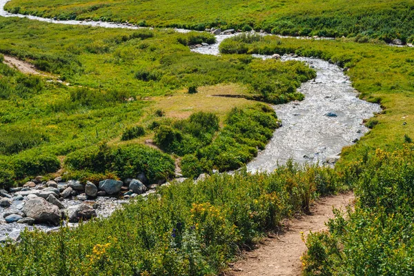 Confluence of two creek in green valley. Footpath through water stream. Mountain path in sunny day. Rich highland flora. Amazing mountainous vegetation. Wonderful scenic landscape. Colorful scenery.