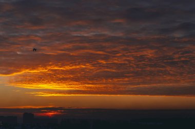 Canlı ateşli şafak ile Cityscape. Şehir bina çatıların karanlık siluetleri üzerinde Amazing sıcak dramatik bulutlu gökyüzü. Turuncu güneş ışığı. Bulutlu havalarda gün doğumunun atmosferik arka planı. Kopyalama alanı.