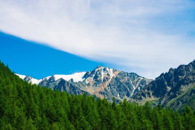 Mavi berrak gökyüzü altında ormanlık tepearkasında karlı dağ tepesinde. Kozalaklı ormanın üzerindeki kayalık sırt. Görkemli doğanın atmosferik minimalist manzara.