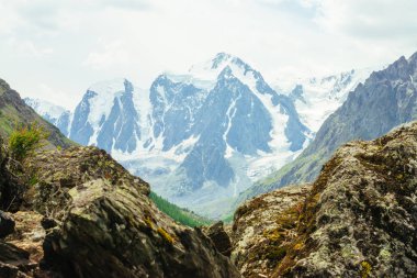 Kayalık zeminde harika bir buzul. Bulutlu gökyüzünün altındaki kayalık dağların arkasındaki dev karlı dağ. Kocaman bir dağ yamacı. Dağlık arazilerin zengin bitkileri. Görkemli doğanın atmosferik manzarası.