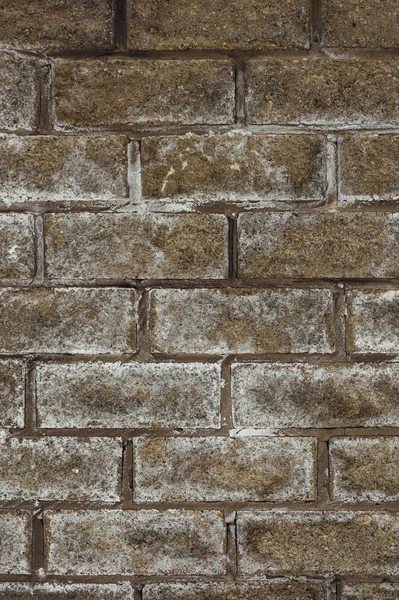 Brick Snowcapped Wall Close — Stock Photo, Image