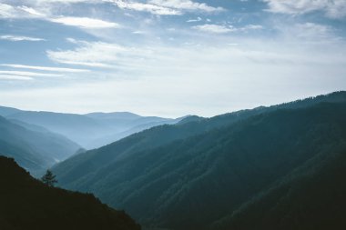 Arka aydınlatma da ufukta dağ yamaçları siluetleri arasında vadi üzerinde Sabah sis. Bulutlu gökyüzünde mavi parıltı. Dağ yamacındaki orman. Görkemli doğanın atmosferik dağ manzarası.